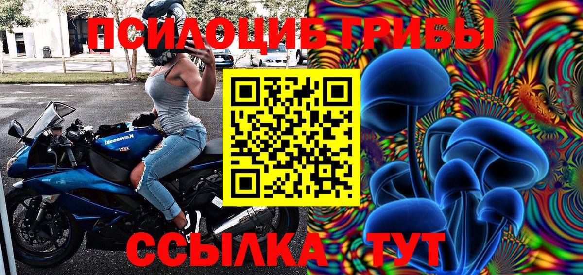 Галлюциногенные грибы Psilocybine cubensis Заводоуковск