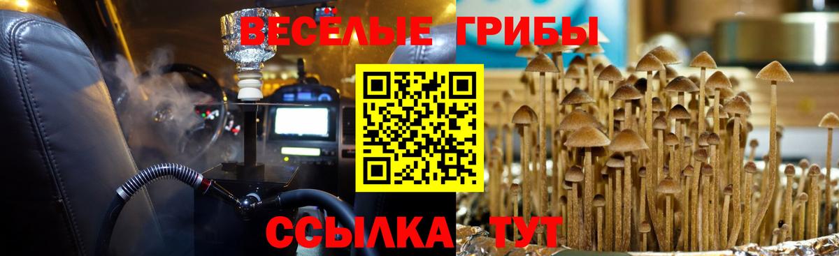 Псилоцибиновые грибы MAGIC MUSHROOMS  Галлюциногенные грибы Psilocybine cubensis  Вход с VPN  Заводоуковск 